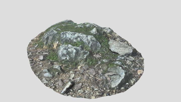 Photogrammetry Scan of a Rock_003 3D Model
