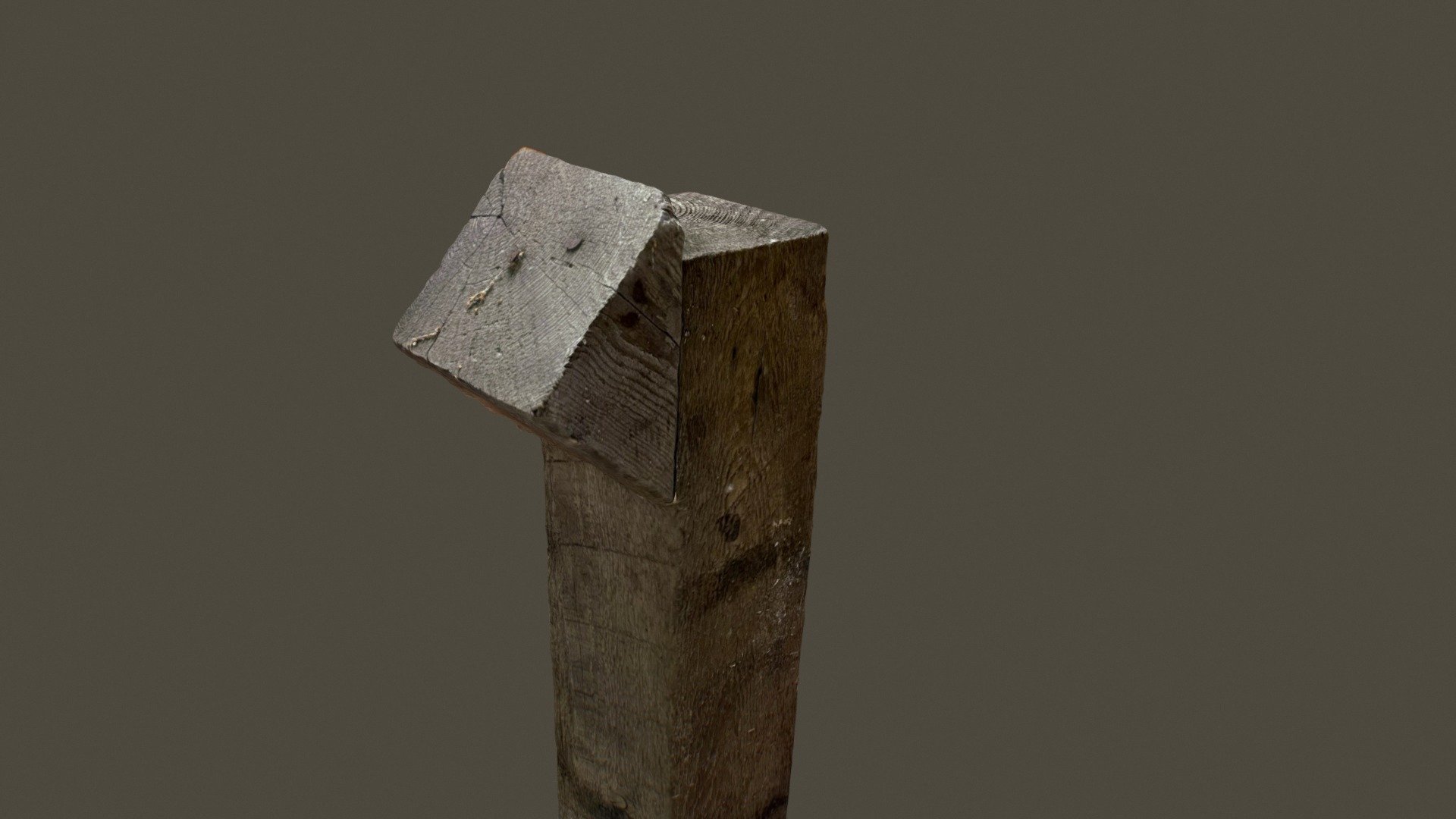 Wood Photoscan 4x4 #2
