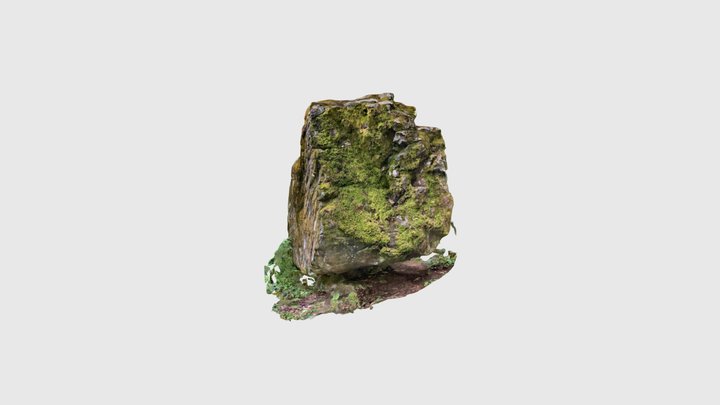 The rock 3D Model