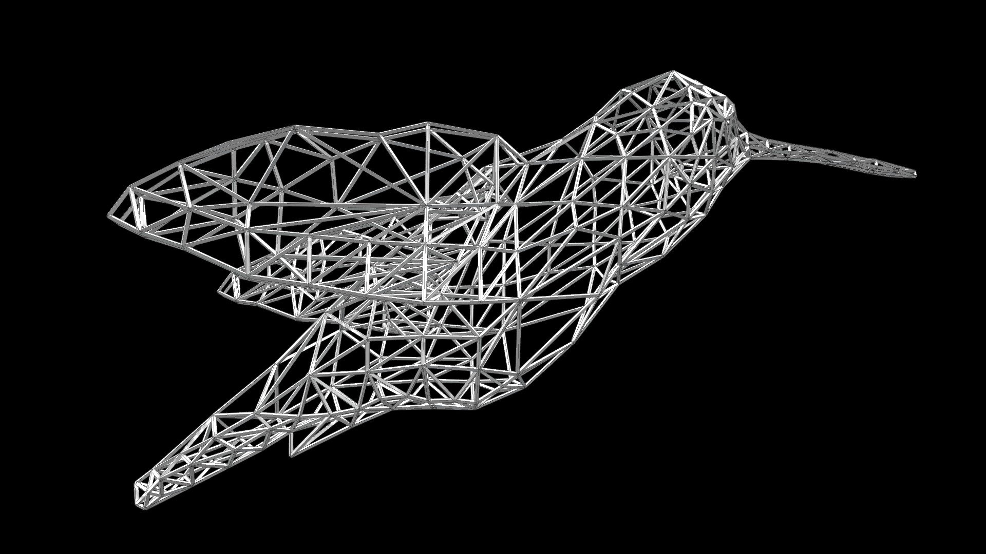 HUMMINGBIRD WIREFRAME Buy Royalty Free 3D model by DTA DESIGN STUDIO