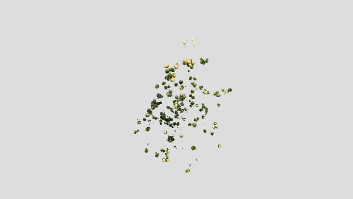 Tree 01 - Semantics 3D Model