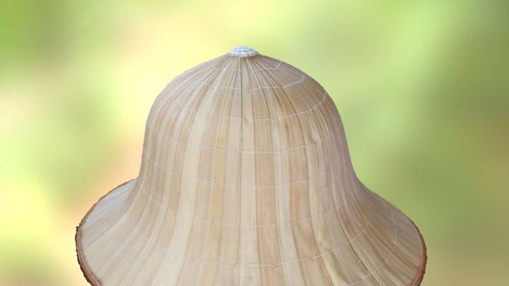 Vietnamese Hat (nón lá) 3D Model