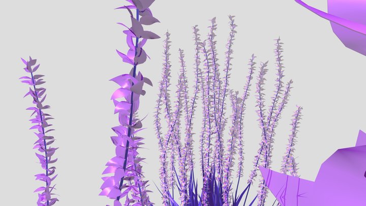 4 3D Model