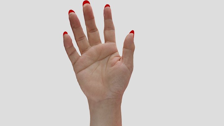 Nail 3D Model