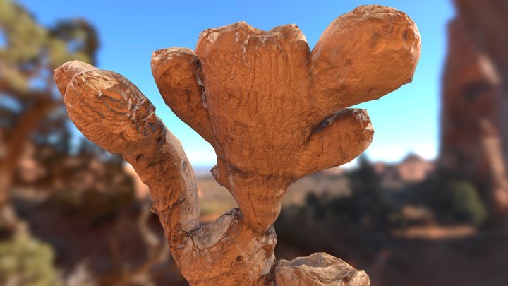 Ginger Root - Zingiber Officinale 3D Model