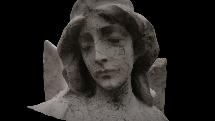 Cemetary sculpture Just Head and Wingtips 3D Model
