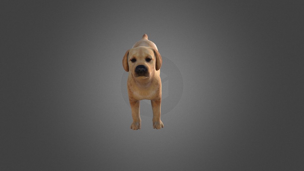 3d dog cute