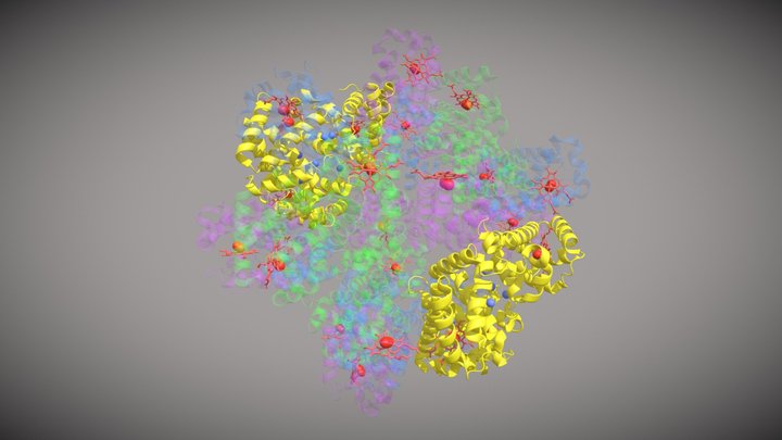 Hemoglobina transparente