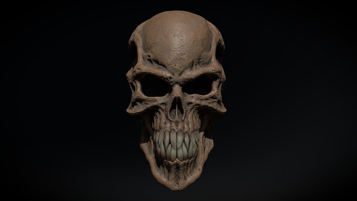 Skull 3D Model