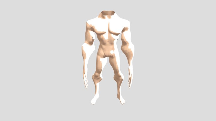 Body Without Head 3D Model
