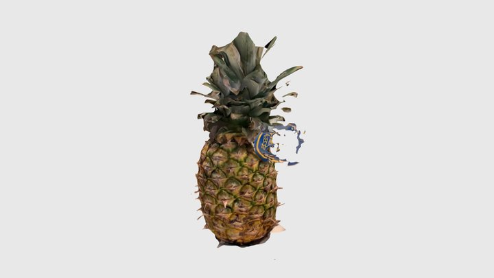 Pineapples 3D Model