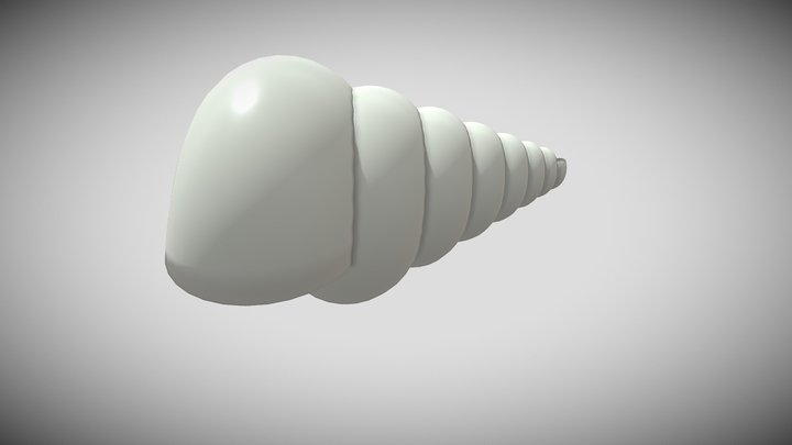 Seashell 3D Model