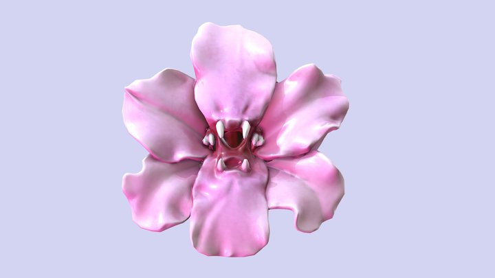 Fanged Orchid 3D Model