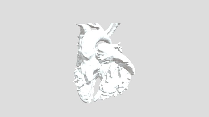 USP10625_blood_flow 3D Model