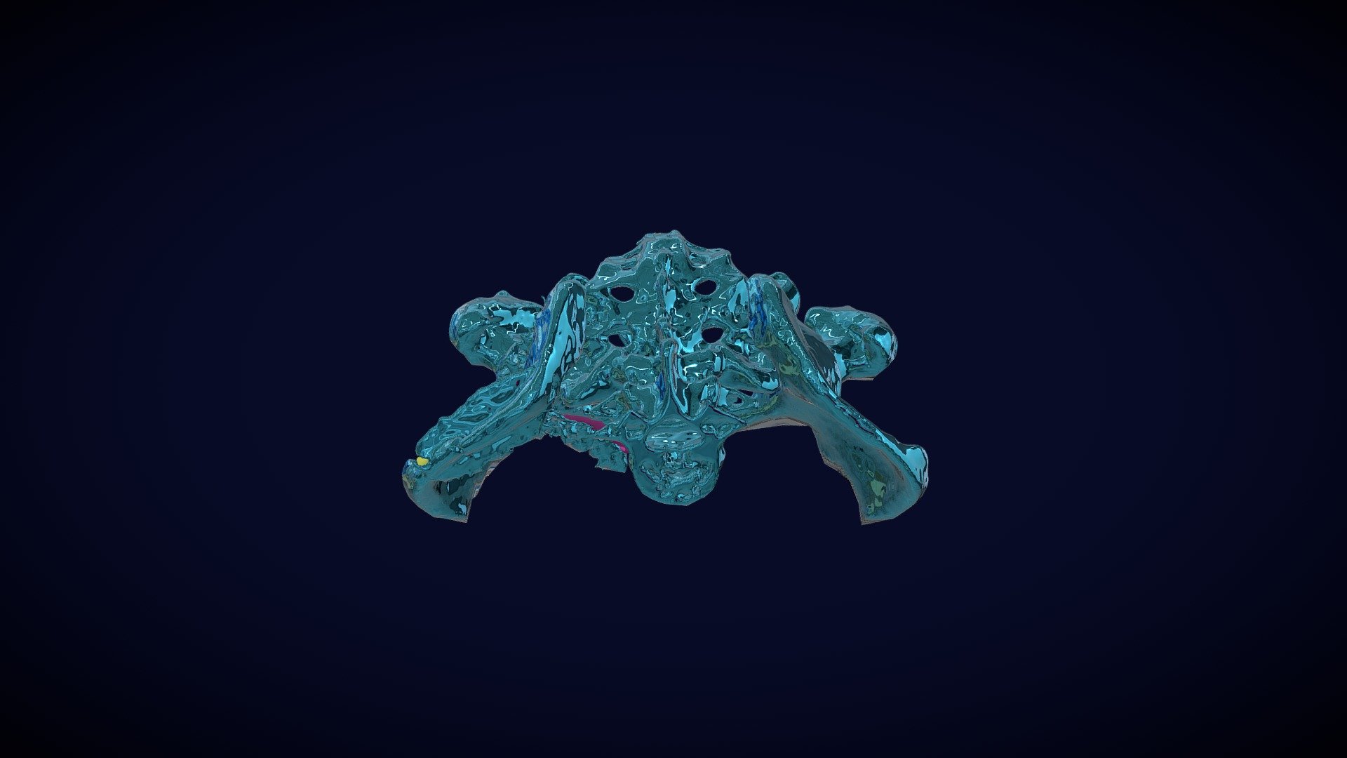 Pelvis