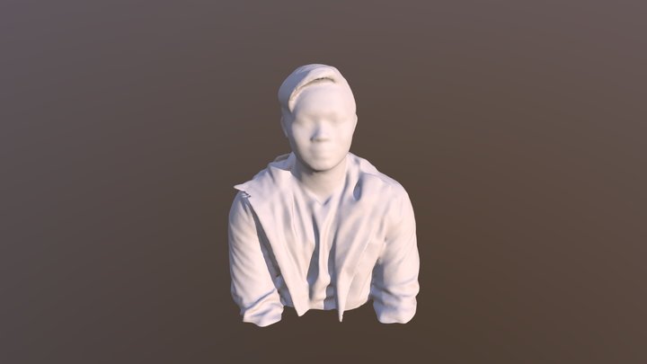 Model 3D Model