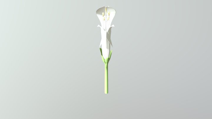 Lamium Album 3D Model