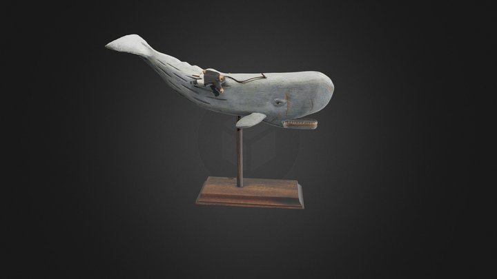 Moby Dick with Captain Ahab #27 3D Model