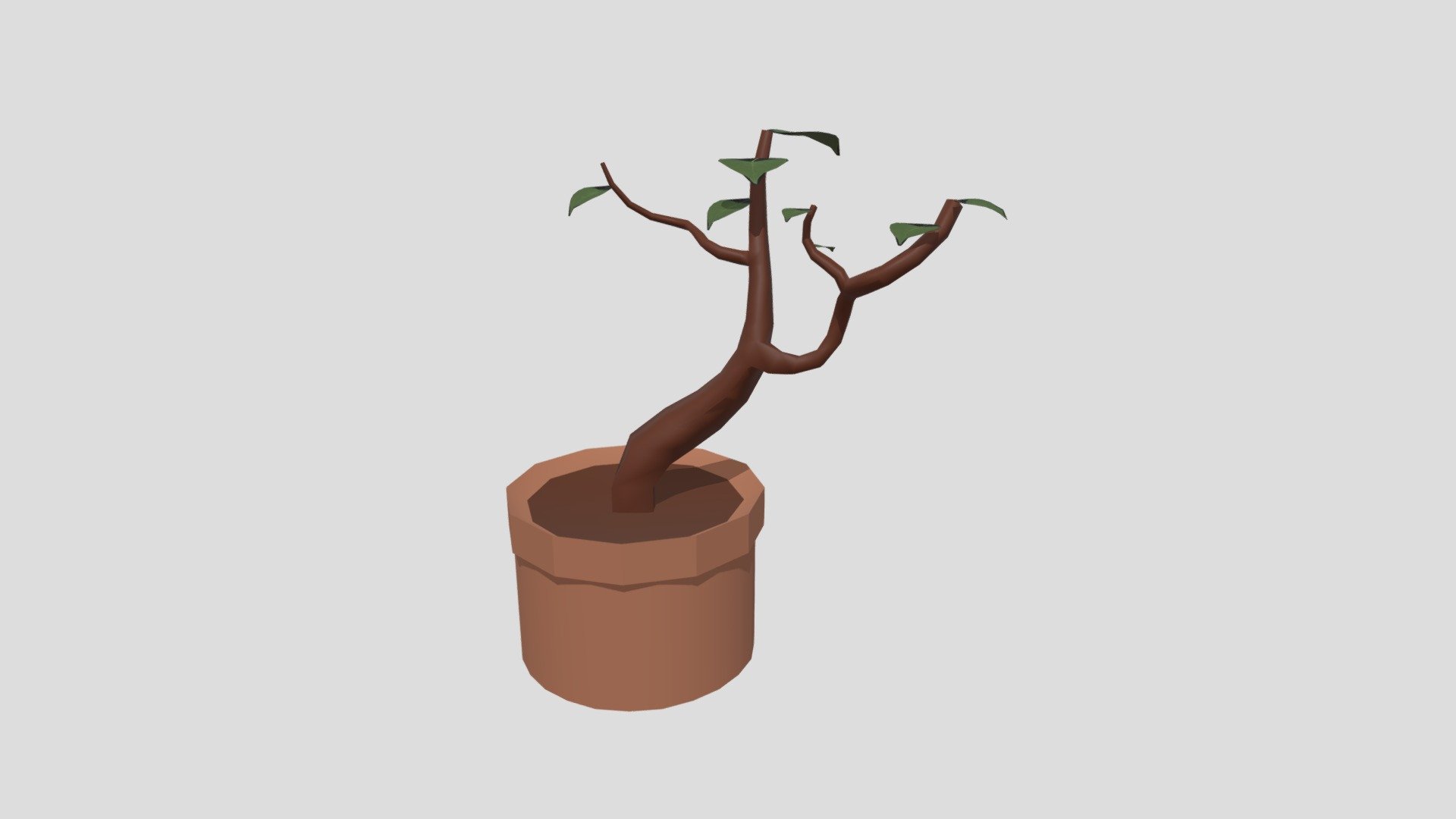CGT 116 Plant