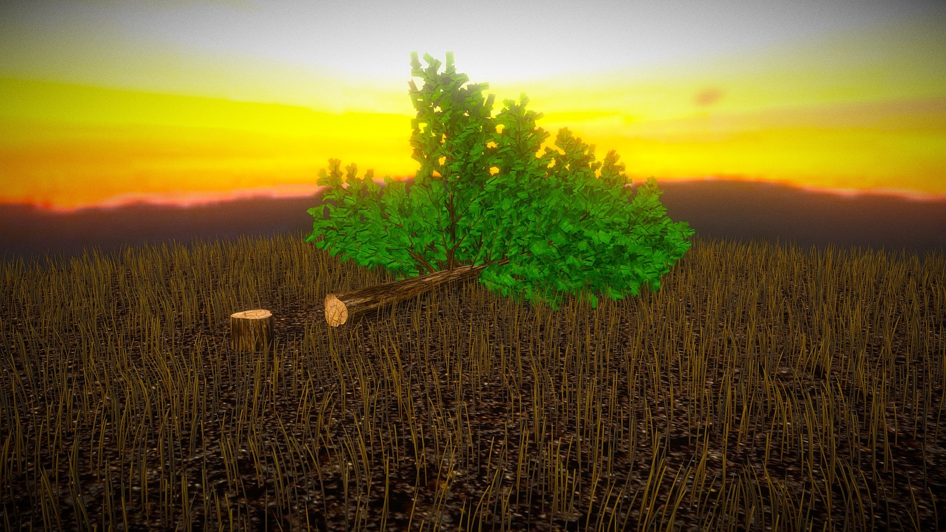 Tree Stump