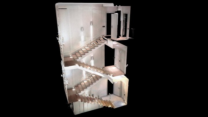 Ladder Point Clouds 3D Model