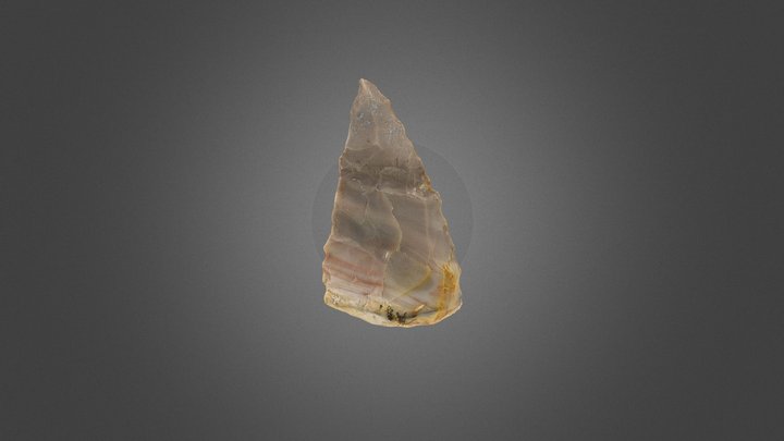 Test Lithic 20200614 Focus-Stacked and Scaled 3D Model