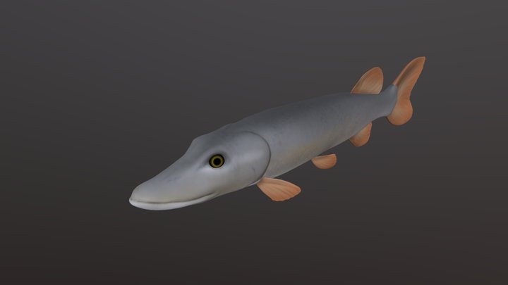 Pike 3D Model