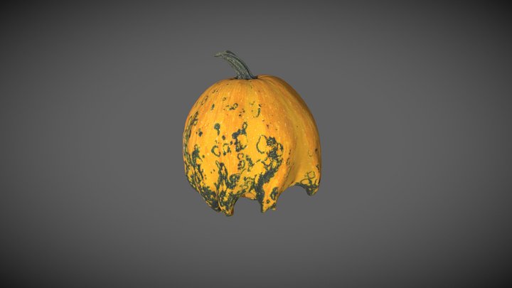 Pumpkin 2 3D Model
