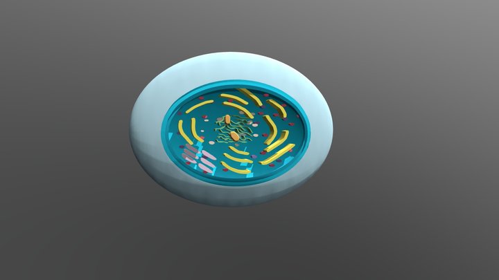 MicroUGHS_Cyanophyta_XSGS 3D Model