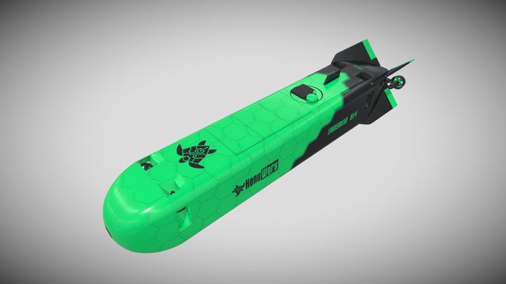 Loggerhead 014b 3D Model