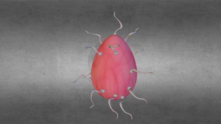 Jay Doogan - Sperm Egg 3D Model
