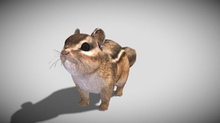 Squirrel 3D Model