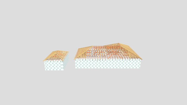 House_ Roof_ Satomi_&_ Leonard_ Martin