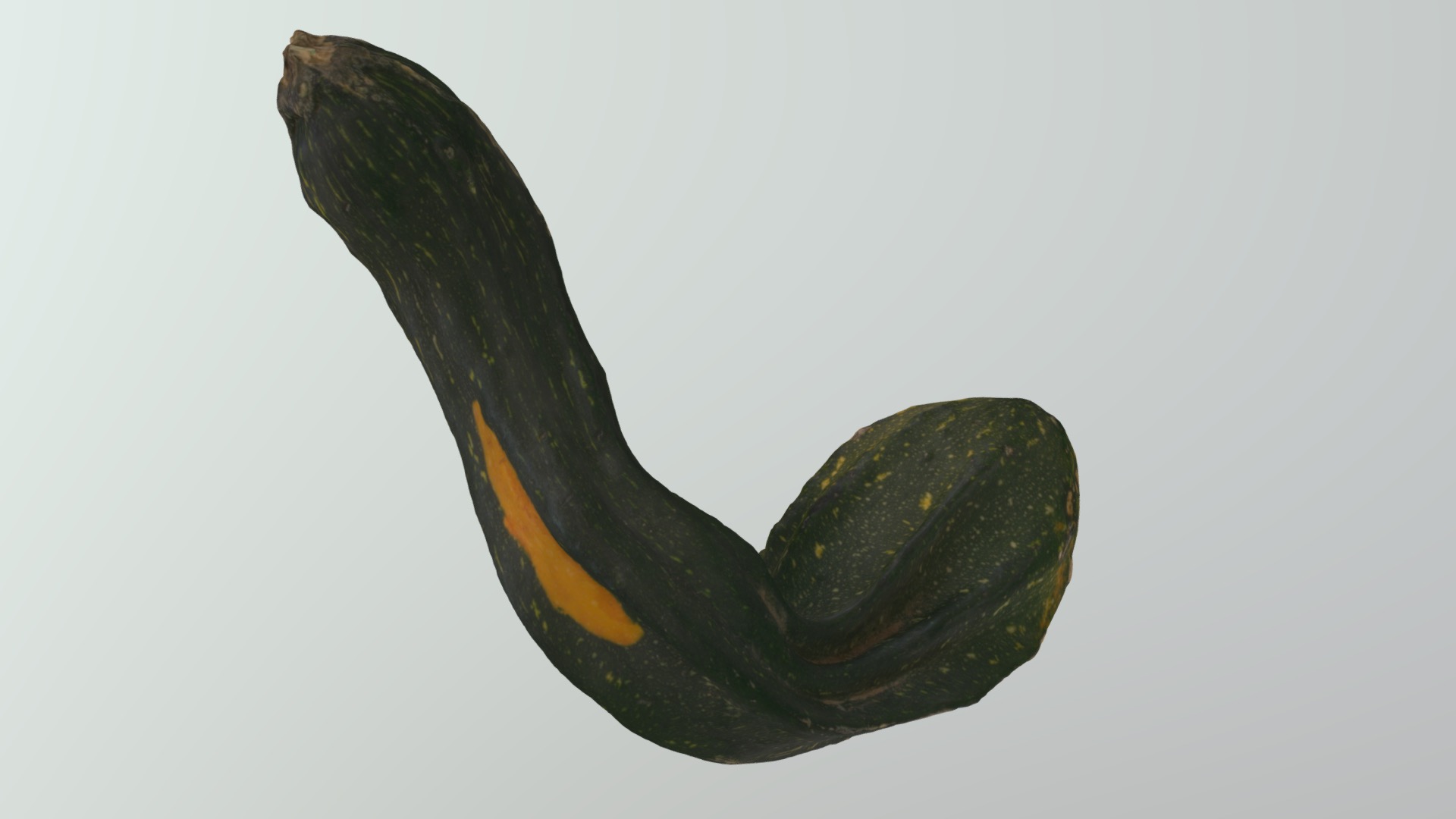 3D model Pumpkin 4 - This is a 3D model of the Pumpkin 4. The 3D model is about a black and orange snake.