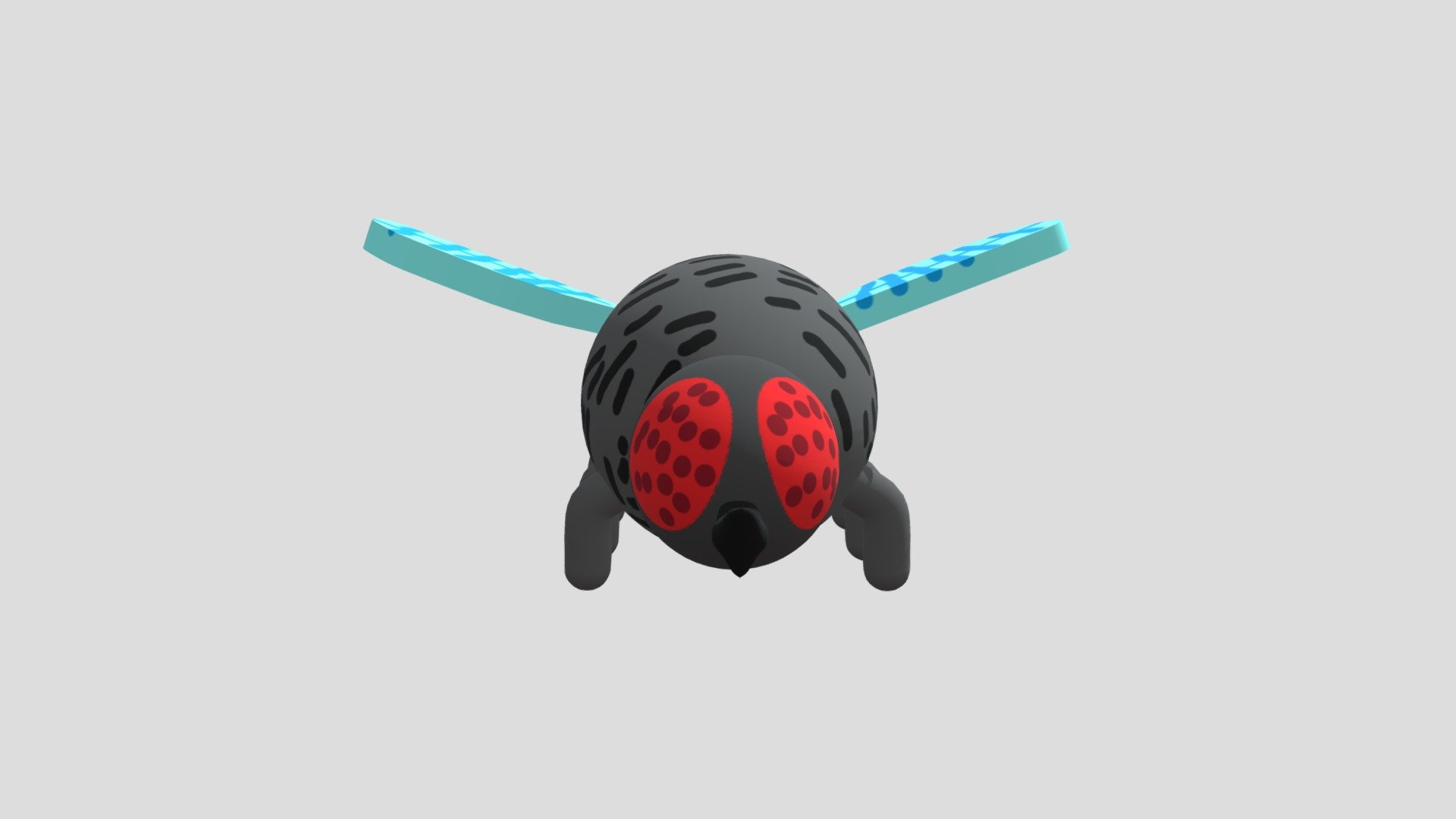 Fly