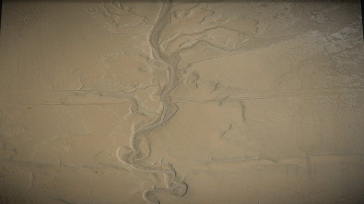Tidal tree, mud flat, seacoast, shore – Gratis 3D-model STL
