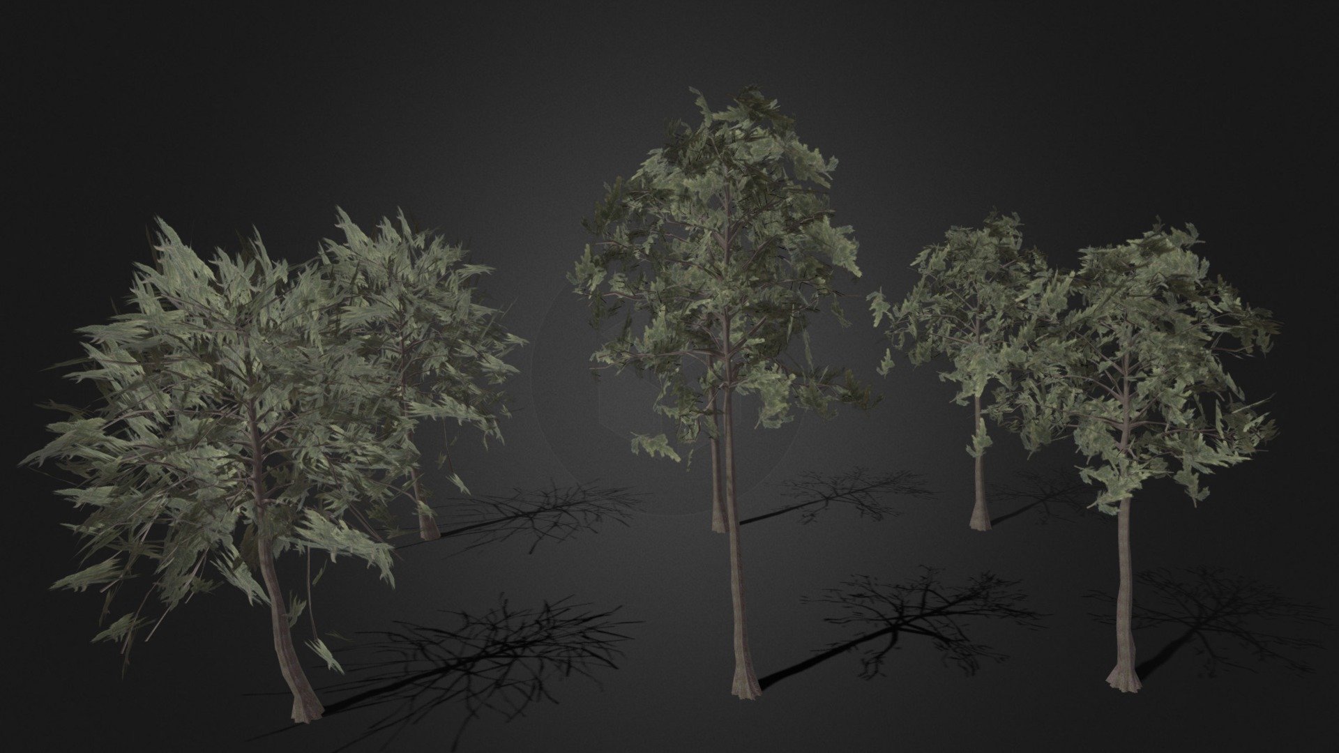 Pine Tree Variations With Low Poly Variants