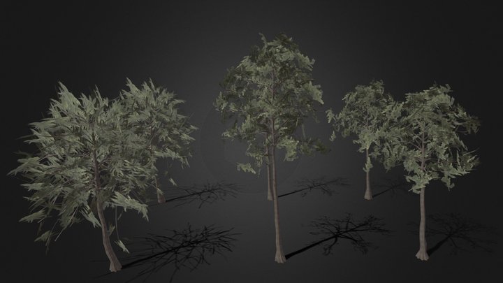 Pine Tree Variations With Low Poly Variants – Modello 3D gratuito STL