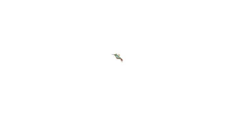 Hummingbird__ Flying008 3D Model
