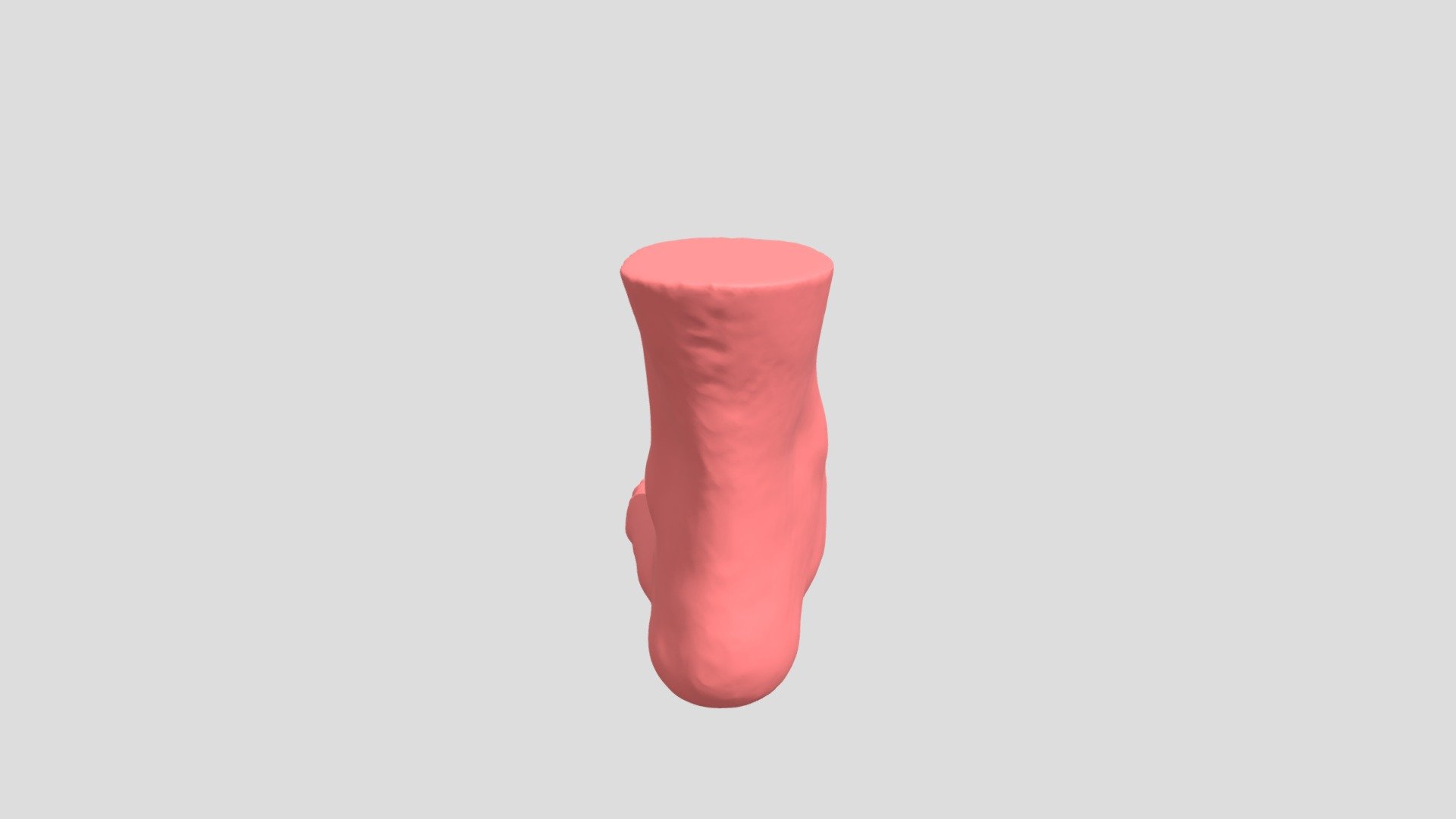 left foot model