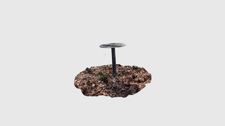 Sun Calendar 3D Model