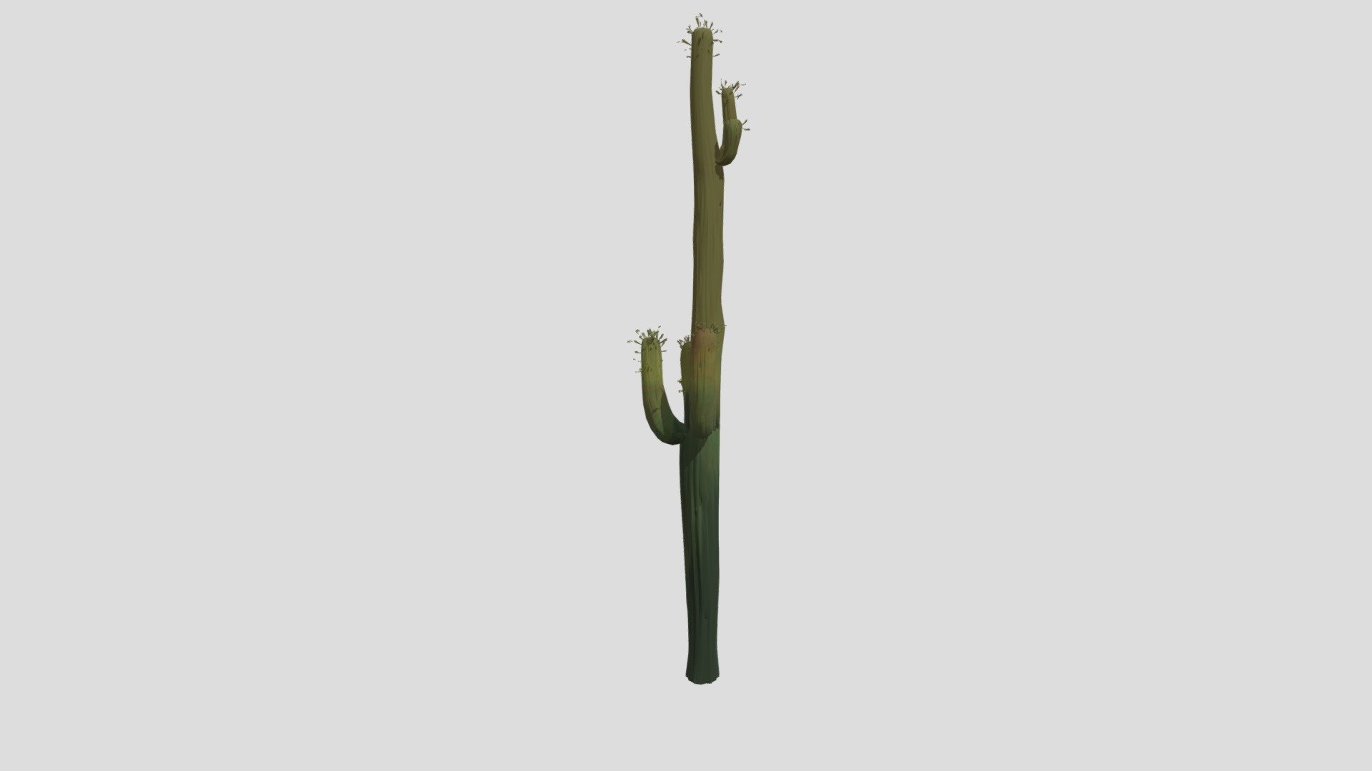 Carnegiea