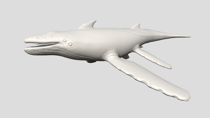 Alien Whale 3D Model