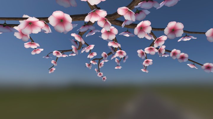 Cherry Tree13 Mesh 3D Model