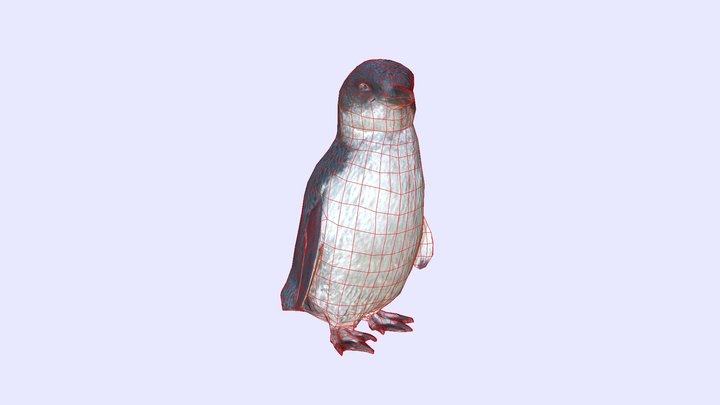 Penguin Retopology LP 3D Model