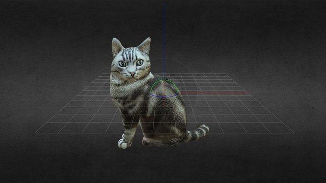 Cat 3D Model