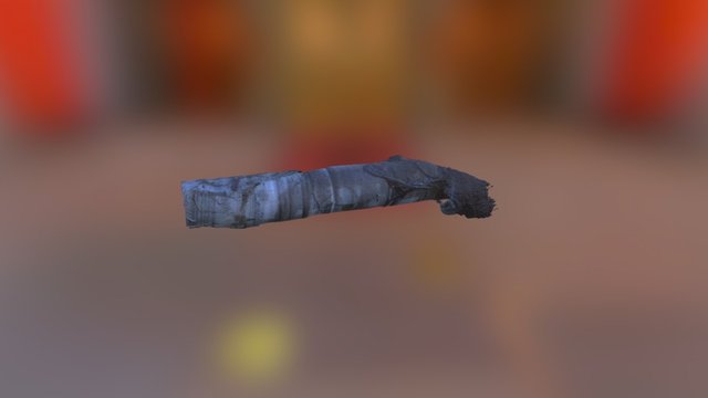 Mineshaft Photogrametry 3D Model