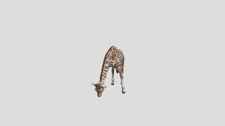 Giraffe+motions 3D Model
