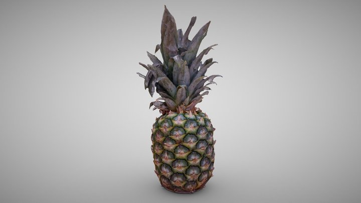 Pineapple - scan - FREE! 3D Model