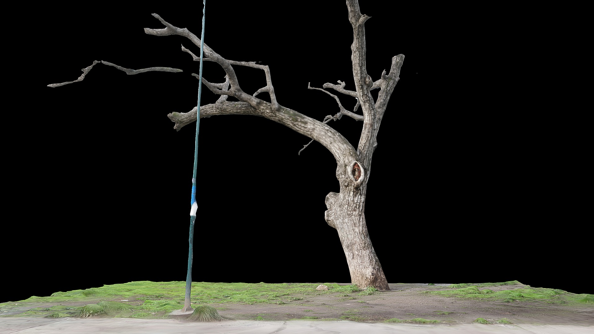 3D model 2017-07 – Santiago – Arbol 22 - This is a 3D model of the 2017-07 - Santiago - Arbol 22. The 3D model is about a tree with branches and a blue pole with a blue light.